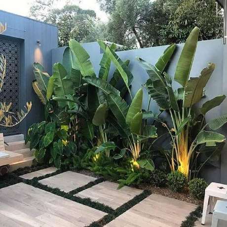 tipos de plantas grandes para jardim residencial Foto Adam Robinson Design tipos de plantas grandes para jardim residencial Foto Adam Robinson Design