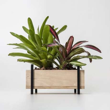 43. Floreira baixa para usar na sala de estar – Via: Pinterest 43. Floreira baixa para usar na sala de estar – Via: Pinterest