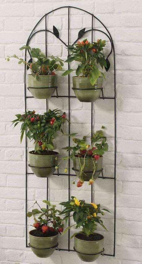 60. Parede decorada com vasinhos de plantas – Via: Top Buzz 60. Parede decorada com vasinhos de plantas – Via: Top Buzz