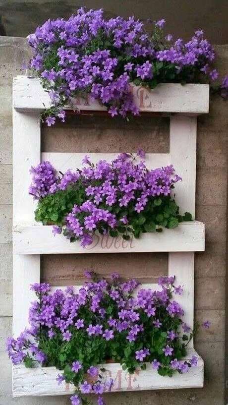 29. Floreira para violetas – Via: Pinterest 29. Floreira para violetas – Via: Pinterest