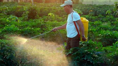 Maior parte dos pesticidas considerados prejudiciais à saúde e ao meio ambiente é vendidos a países pobres ou emergentes