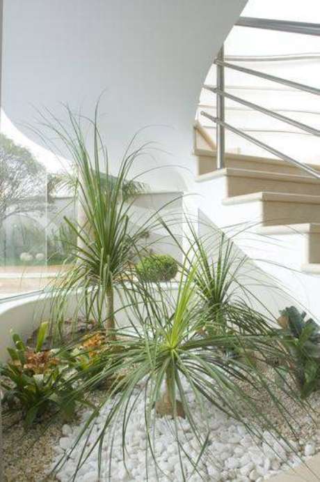 30. Plantas para jardim de inverno na sala de estar clássica – Projeto: Nicolas Aquiles Kilaris 30. Plantas para jardim de inverno na sala de estar clássica – Projeto: Nicolas Aquiles Kilaris
