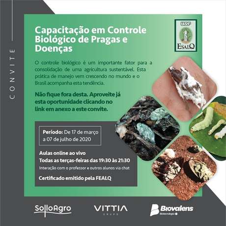 divulgação / DINO