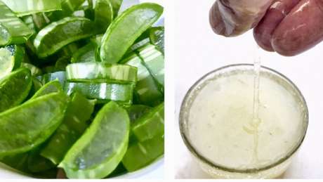 Receitas caseiras não têm qualquer eficácia comprovada contra o coronavírus