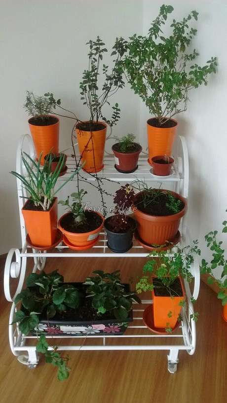 36. Vasos de suculentas são ótimas para o cultivo interno – Foto: Via Pinterest 36. Vasos de suculentas são ótimas para o cultivo interno – Foto: Via Pinterest