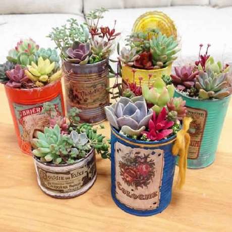 41. Latas coloridas e suculentas dão um ótimo resultado na decoração – Foto: Como fazer em casa 41. Latas coloridas e suculentas dão um ótimo resultado na decoração – Foto: Como fazer em casa