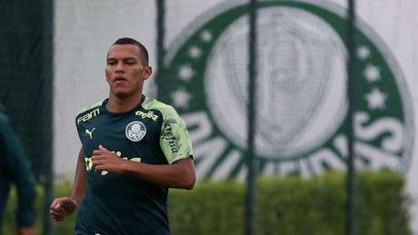 Aos 17 anos, Gabriel Veron é exaltado na Europa, mas Palmeiras o utiliza com calma (Agência Palmeiras/Divulgação)