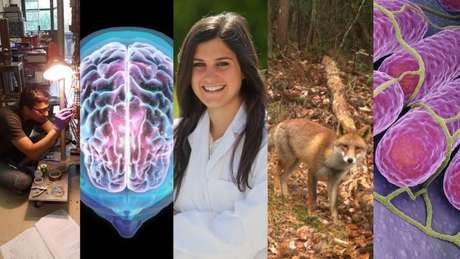 111780238yadirapastor.jpg?profile=RESIZE_710x