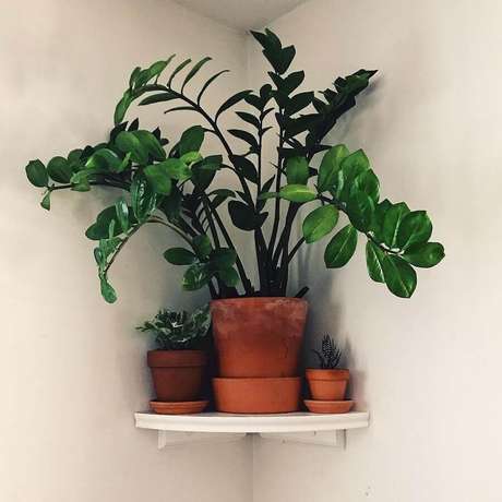 27. Alguns modelos de prateleira de canto são ótimas para decorar com vasos de plantas – Foto: Webcomunica 27. Alguns modelos de prateleira de canto são ótimas para decorar com vasos de plantas – Foto: Webcomunica