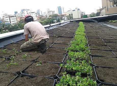 5. A instalação das plantas que irão compor o telhado verde devem ser feitas por um profissional. Fonte: Eco Eficientes