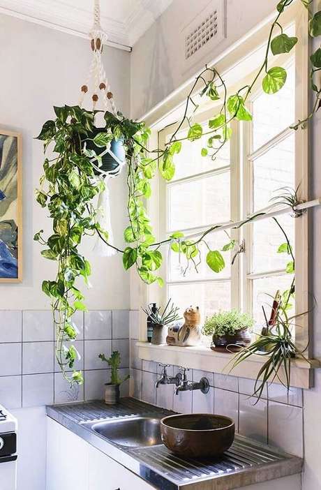 58- A trepadeira pode decorar lindamente a cozinha. Fonte: Pinterest 58- A trepadeira pode decorar lindamente a cozinha. Fonte: Pinterest