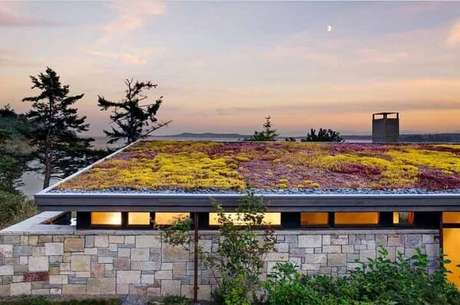 54. As plantas de coloração roxa e amarela se destacam no telhado. Fonte: Pinterest