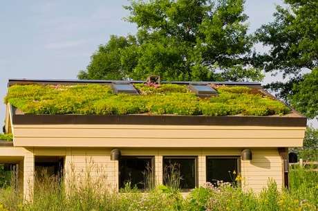 38. Avalie o tipo de vegetação que será cultivada no telhado verde. Fonte: Pinterest