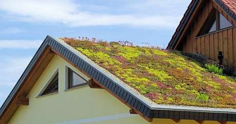 62. É importante estar atento as vantagens e desvantagens de ter um telhado verde. Fonte: Pinterest