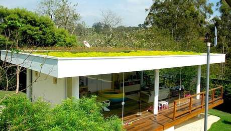 13. O telhado verde permite a retenção da água da chuva para reuso. Fonte: Pinterest