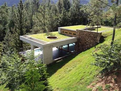 40. Transforme a decoração da sua casa incluindo um telhado verde. Fonte: Vertical Garden