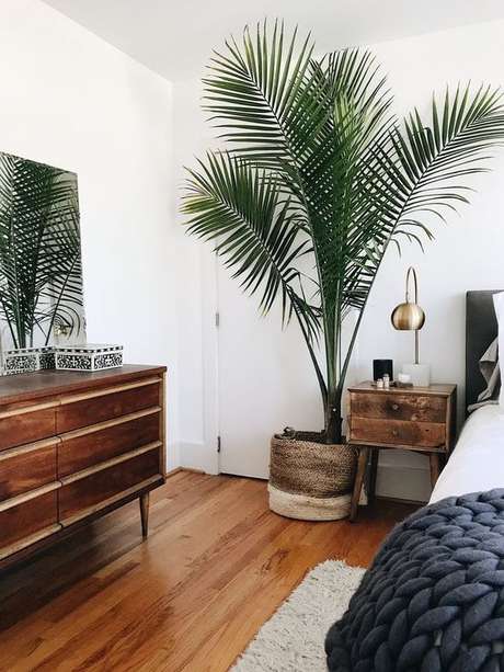 16. Quarto com vaso grande de plantas e móveis de madeira – Via: Pinterest