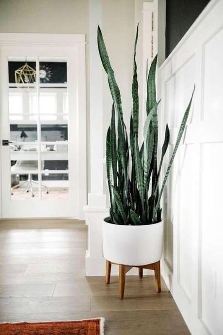 34. Vaso grande branco com planta espada de são jorge – Via: Pinterest