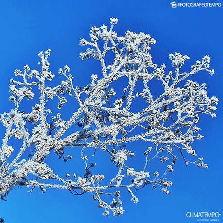 Climatempo