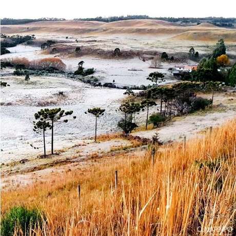 Climatempo