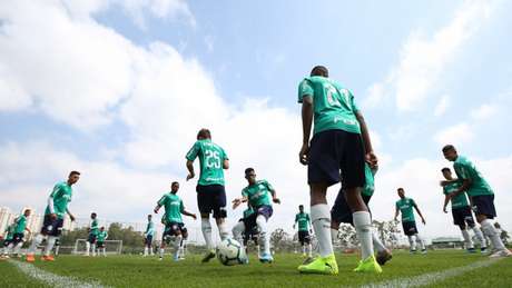 Em ascensão, base alviverde é opção para comissão técnica suprir ausências