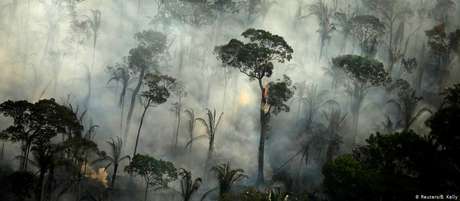 Cerca de 4.5 mil km2 de Floresta Amazônica desmatados estão prontos para serem queimados Cerca de 4.5 mil km2 de Floresta Amazônica desmatados estão prontos para serem queimados