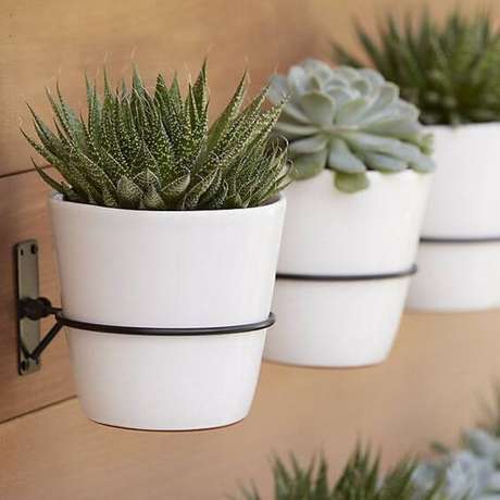 56. Vaso de suculentas na parede – Via: Pinterest 56. Vaso de suculentas na parede – Via: Pinterest