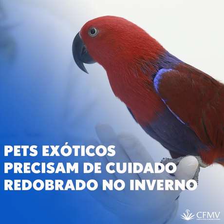Climatempo
