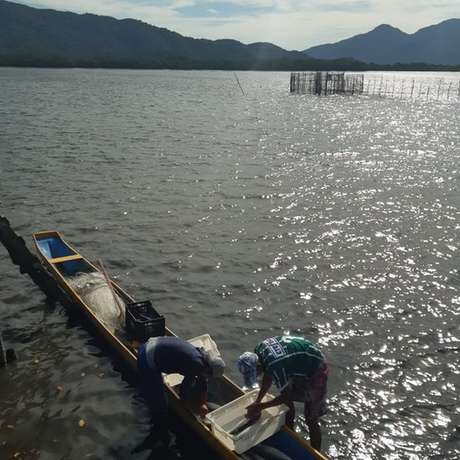 Pescadores da Ilha do Cardoso voltaram a trabalhar depois de projeto de doação Pescadores da Ilha do Cardoso voltaram a trabalhar depois de projeto de doação