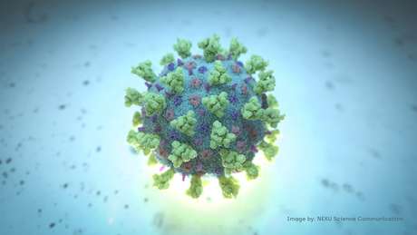 Imagem de computador criada pelo Nexu Science Communication e Trinity College em Dublin mostra representação estrutural de um betacoronavirus que é o tipo de vírus ligado à Covid-19
18/02/2020
NEXU Science Communication/via REUTERS