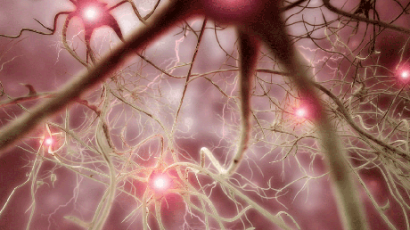 Um dos objetivos da empresa é combater algumas doenças neuronais Um dos objetivos da empresa é combater algumas doenças neuronais
