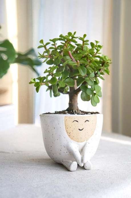 15. Vaso cerâmica com planta jade – Via: etsy