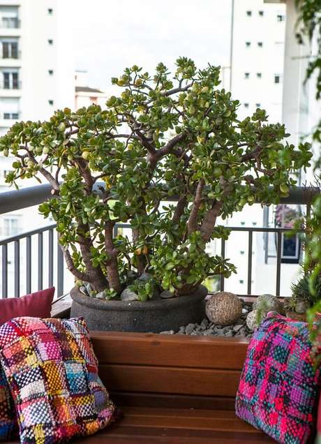 21. Vaso de planta jade na varanda de casa – Via: Casa e Jardim