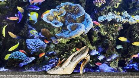 salto vermelho embaixo