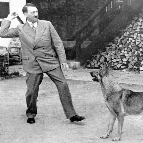 Imprensa internacional demorou a deixar de lado a imagem de um Hitler 'sensível' Imprensa internacional demorou a deixar de lado a imagem de um Hitler 'sensível'