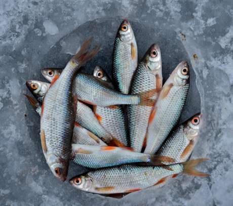 Guia da Cozinha - Feliz ano novo! Receitas clássicas do Rosh Hashaná