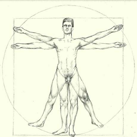 O corpo humano ideal de Leonardo da Vinci e as proporções obtidas com as medidas contemporâneas froam semelhantes O corpo humano ideal de Leonardo da Vinci e as proporções obtidas com as medidas contemporâneas froam semelhantes