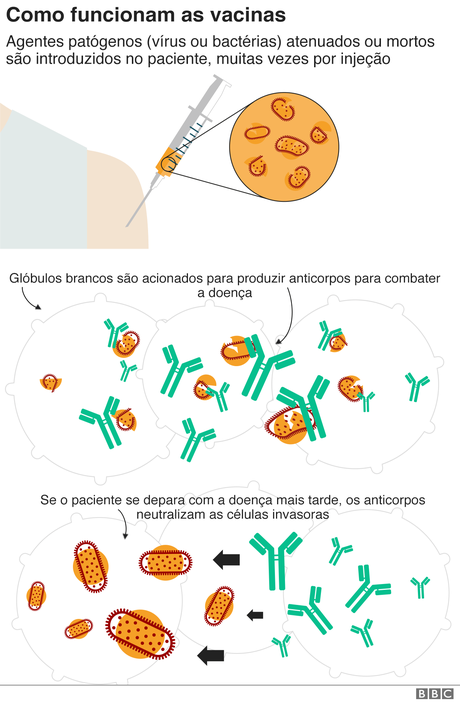 grafico grafico