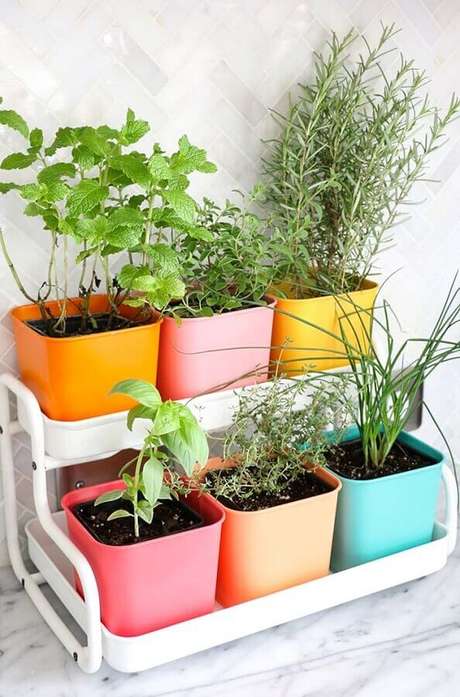 1. Não é necessário muito espaço para fazer uma horta orgânica em casa – Foto: Pinterest 1. Não é necessário muito espaço para fazer uma horta orgânica em casa – Foto: Pinterest
