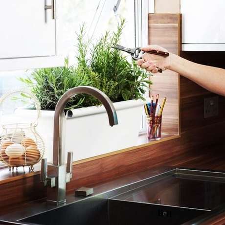 6. Como plantar coentro em casa na cozinha – Via: Pinterest 6. Como plantar coentro em casa na cozinha – Via: Pinterest