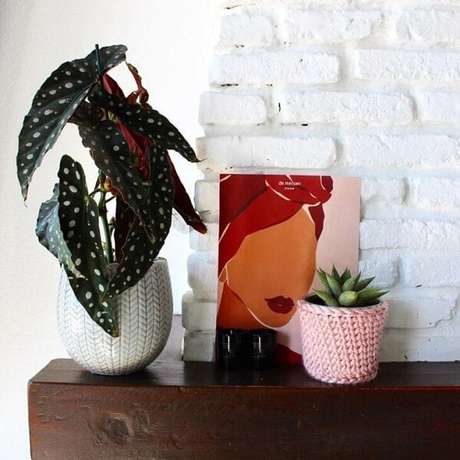 26. A presença da Begônia Maculata traz um toque mágico para a decoração. Fonte: Cassie´s Plantfulness 26. A presença da Begônia Maculata traz um toque mágico para a decoração. Fonte: Cassie´s Plantfulness