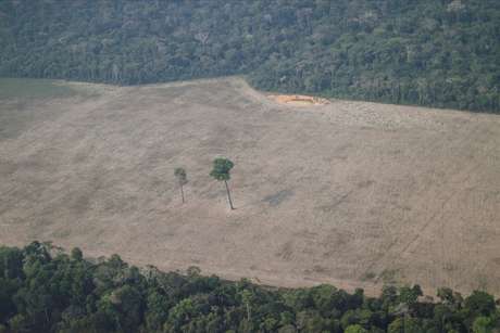 Vista area de trecho desmatado da Amaznia perto de Porto Velho, em Rondnia 14/08/2020 REUTERS/Ueslei Marcelino