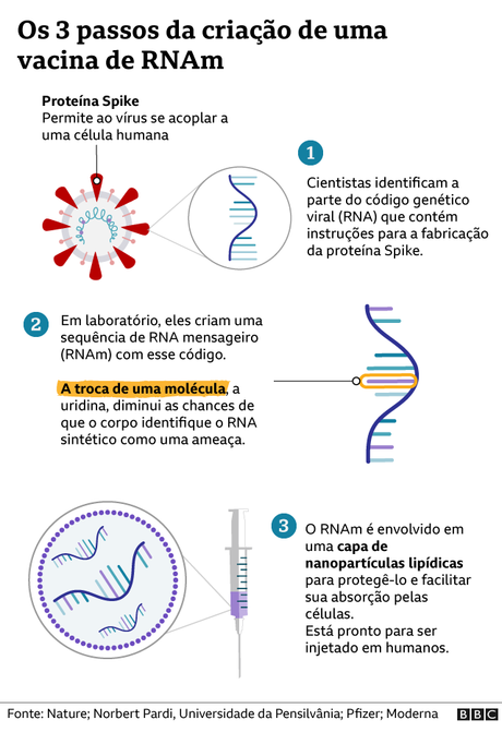 Grfico de como  feita a vacina