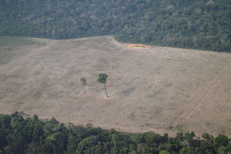 Vista aérea de área desmatada na Amazônia 14/08/2020 REUTERS/Ueslei Marcelino