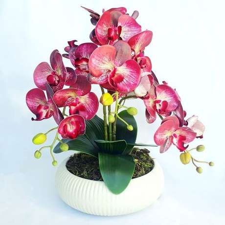 44. Vaso de orquídea marsala – Via: Pinterest 44. Vaso de orquídea marsala – Via: Pinterest