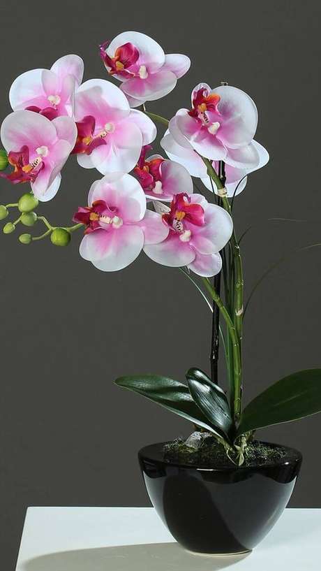 33. Vaso de orquídea preto – Via: Pinterest 33. Vaso de orquídea preto – Via: Pinterest