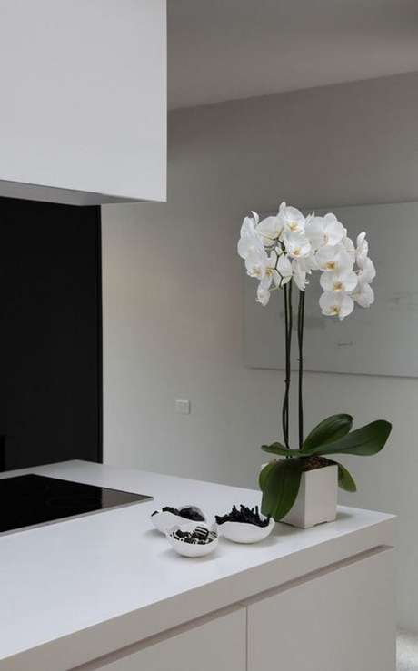 36. Vaso de orquídea simples – Via: Pinterest 36. Vaso de orquídea simples – Via: Pinterest