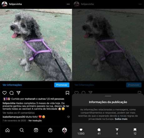 E Possivel Saber Quem Salvou Sua Foto No Instagram
