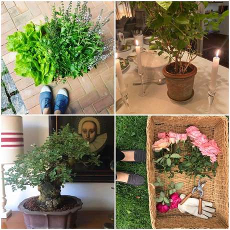 Nos momentos de folga, a jornalista tem prazer em cuidar de flores e da decoração Nos momentos de folga, a jornalista tem prazer em cuidar de flores e da decoração
