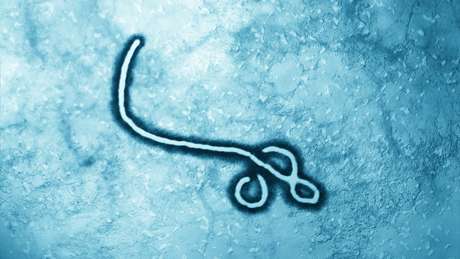 Peter Piot foi um dos descobridores do vírus ebola e ajudou a escolher esse nome, que buscava não estigmatizar ninguém